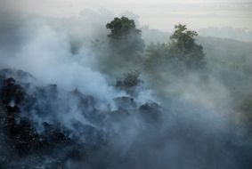 The fire at the dump in the Lviv region