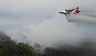 The fire at the dump in the Lviv region