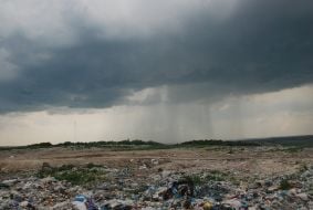 Gribivichi dump