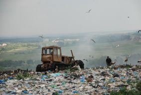 Gribivichi dump