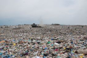 Gribivichi dump