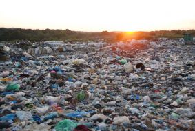 Gribivichi dump