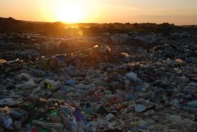Gribivichi dump
