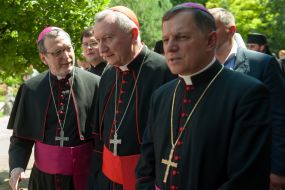 П'єтро Паролін