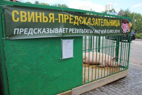 Свинья-предсказатель Люсьен