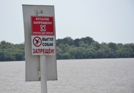 The plate with the inscription "Bathing is forbidden" 