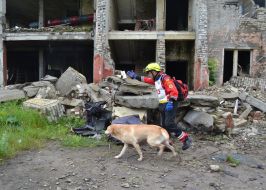 Cynologist with dog during certification