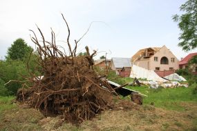 The consequences of bad weather