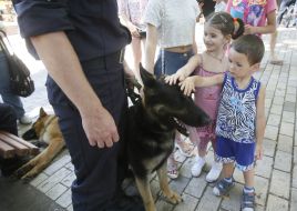 Children stroking a service dog