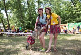 The exhibition of outbred dogs "Barbos Cup-2014"