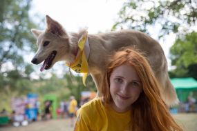 The exhibition of outbred dogs "Barbos Cup-2014"