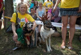 The exhibition of outbred dogs "Barbos Cup-2014"