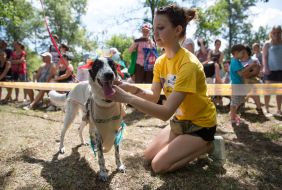 The exhibition of outbred dogs "Barbos Cup-2014"