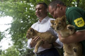 Vitaly Klychko and Kyrylo Trantin