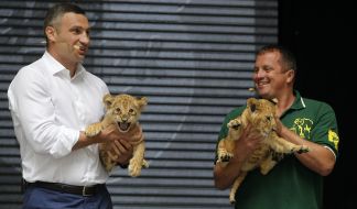 Vitaly Klychko and Kyrylo Trantin