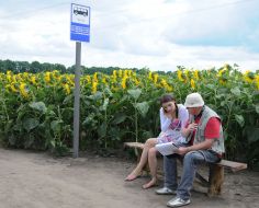 Aleksandr Aloshechkin and Anna Gulyaevа