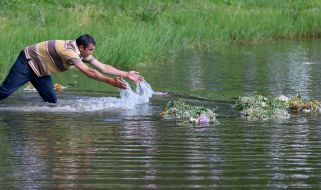 A man with a wreath of wild flowers in water