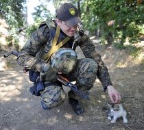 Ukrainian soldier with a kitten