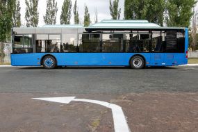 Bus