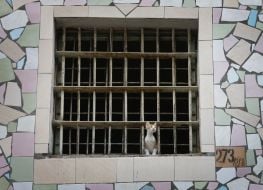 Kyiv detention facility №13