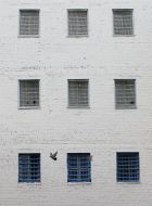 Kyiv detention facility №13