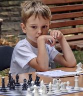 Любительский турнир по шахматам