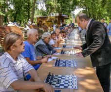 Любительский турнир по шахматам