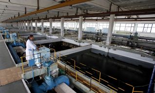 Pools for water purification