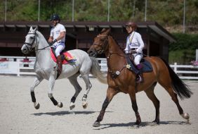 Competitions Jumping