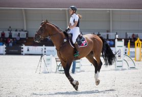 Competitions Jumping