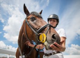 Competitions Jumping