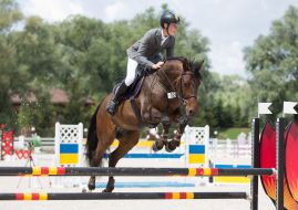 Competitions Jumping