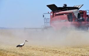 Сбор урожая