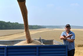 Збирання зернових