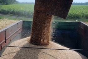 Збирання врожаю