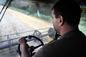 Збирання врожаю