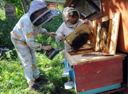 Apiary