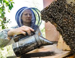Apiary