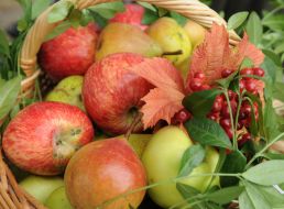 Корзина с яблоками