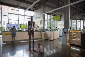 Сервісний центр з проведення реєстрації шлюбів за добу