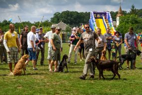 The competition of hunting dogs