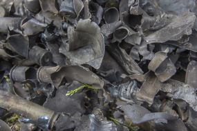 The effects of bombardment