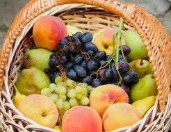 Fruit Basket