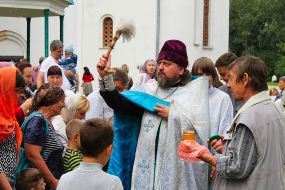 Saviour of Apple Feast Day