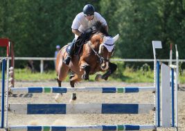 Open Cup of Lviv in equestrian triathlon