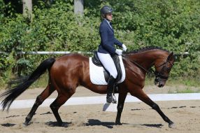 Open Cup of Lviv in equestrian triathlon