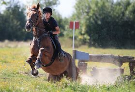 Open Cup of Lviv in equestrian triathlon