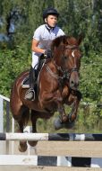 Open Cup of Lviv in equestrian triathlon