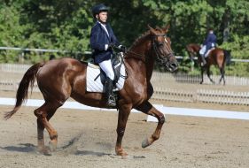 Open Cup of Lviv in equestrian triathlon