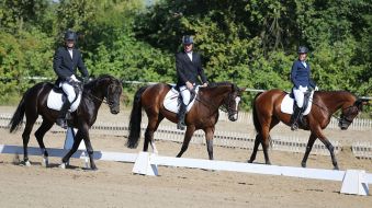 Open Cup of Lviv in equestrian triathlon